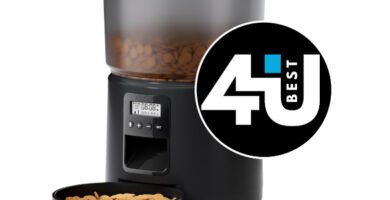 Review del comedero automático BEMOONY A4 – alimentación programada y sin estrés