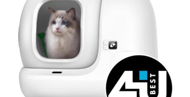 PETKIT Pura MAX 2 Opinión: el arenero autolimpiable premium que redefine la higiene felina