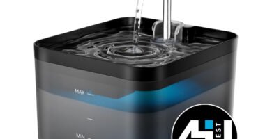 PawPoll Fuente para Gatos: review completa y opinión actual